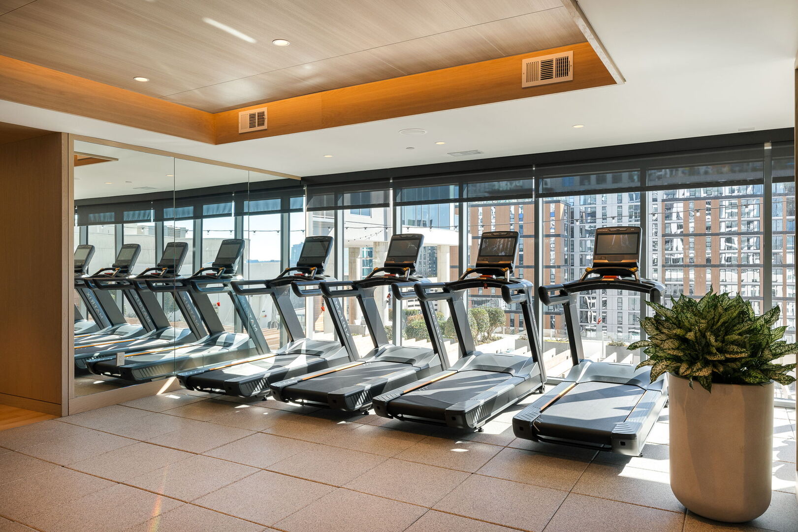 Cardio fitness area Cardio fitness area